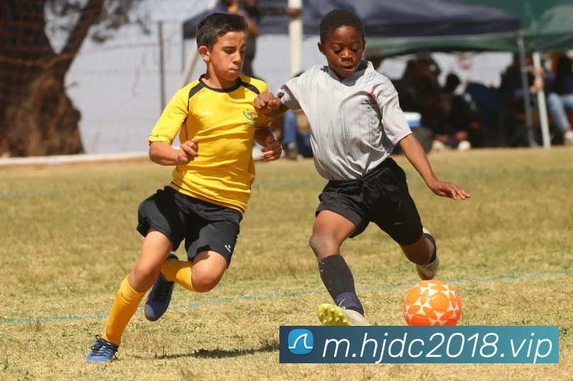 皇家赌场hjdc品牌故事