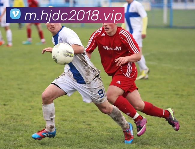 皇家赌场hjdc服务体系